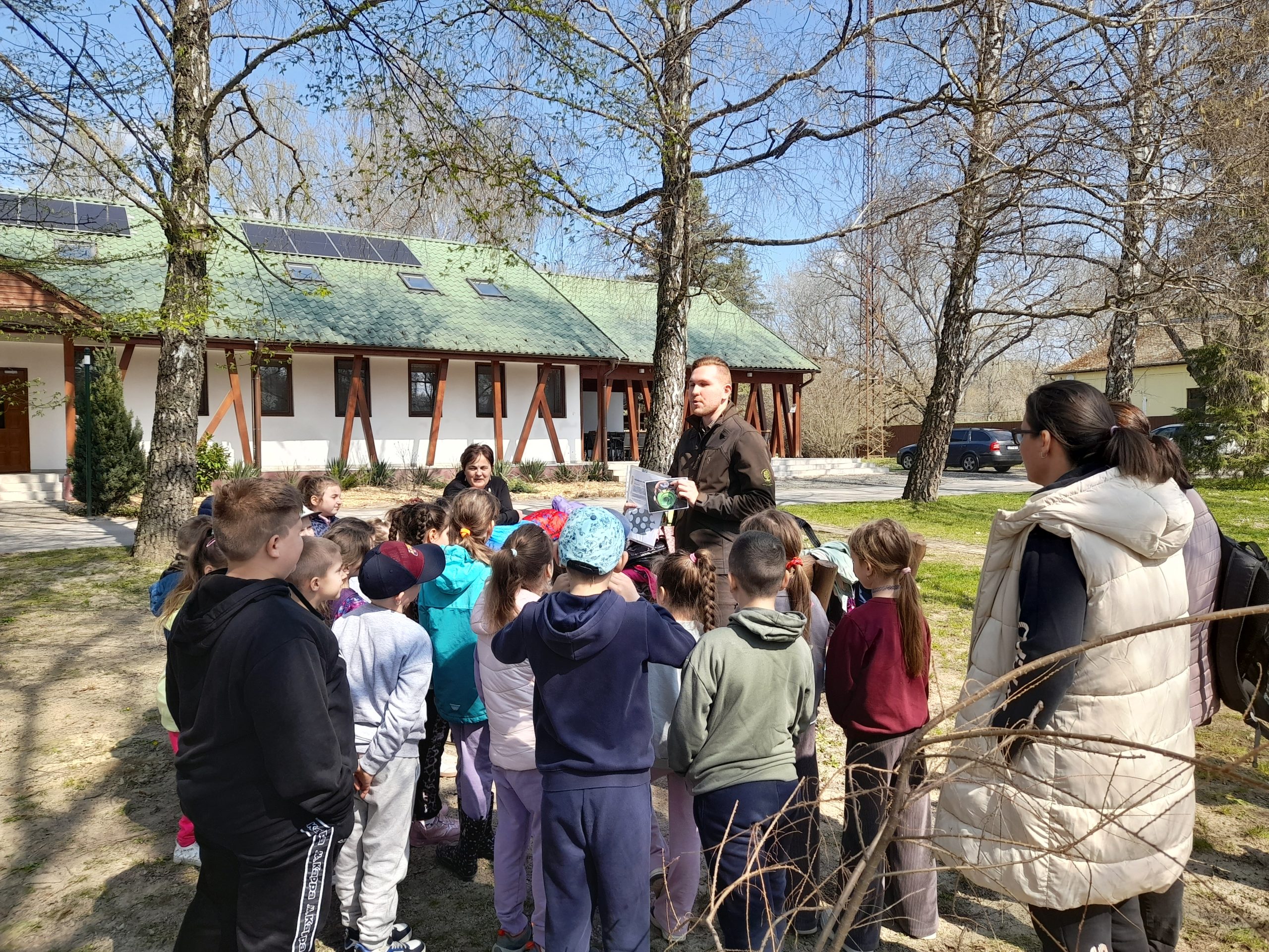 Beporzók_Méhek és rokonaik
