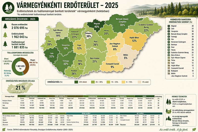 megyei-erdoterulet2025 megyei-erdoterulet2025